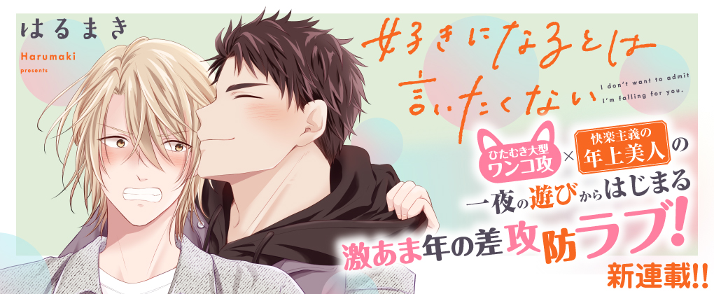 好きになるとは言いたくない